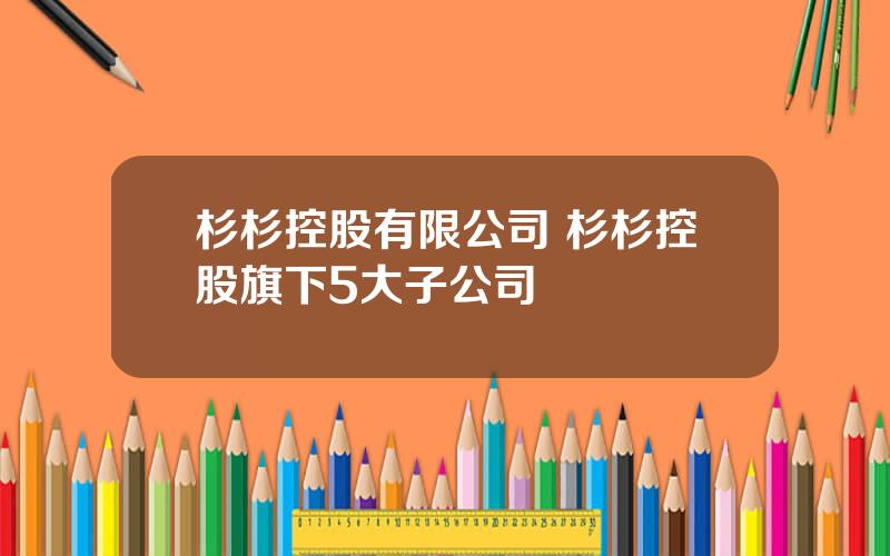 杉杉控股有限公司 杉杉控股旗下5大子公司